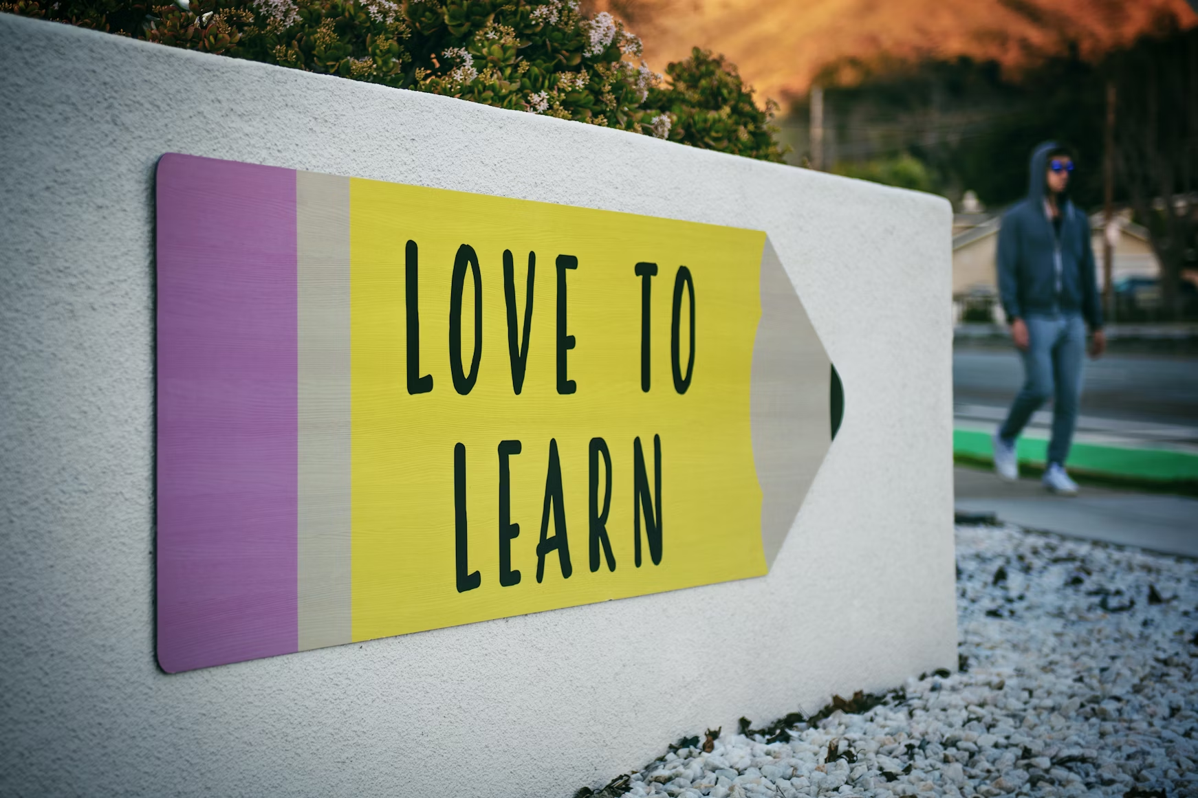 [English Blog] Education in China
